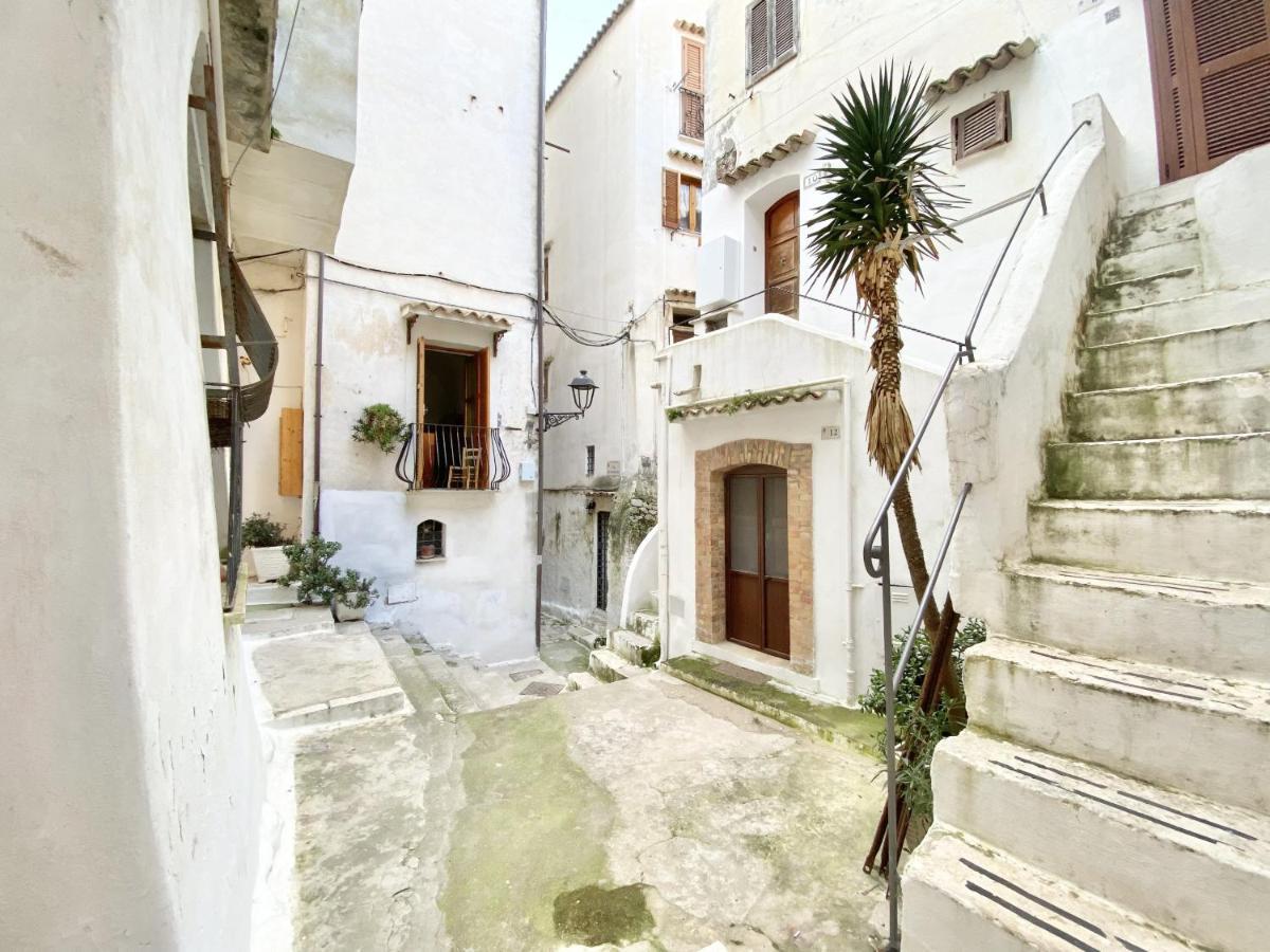 Holidaycasa Jerry Сперлонга Экстерьер фото